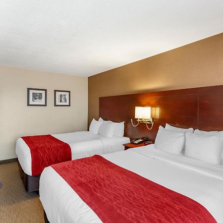 Comfort Inn Airport West Миссиссага Экстерьер фото